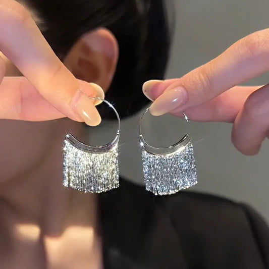 silver Dense Earrings Women's